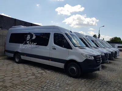 Muszkieter bus przewóz osób